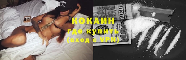 ГАЛЛЮЦИНОГЕННЫЕ ГРИБЫ Гатчина