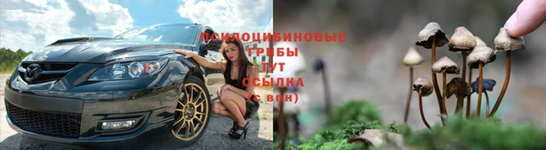 шишки Касимов