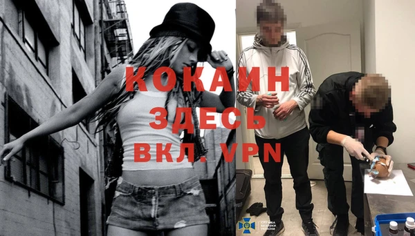 шишки Касимов