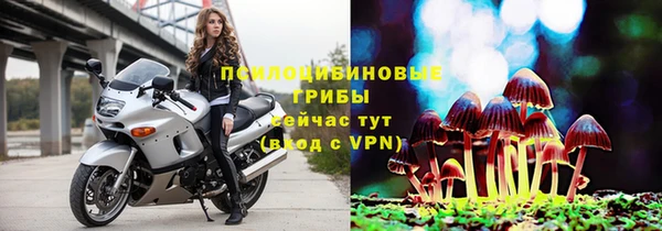 шишки Касимов